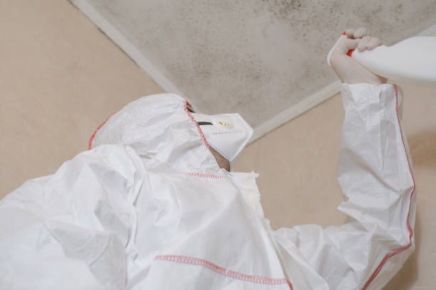 Best Mold Testing  in Sylvester, GA